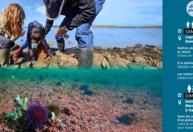 Parc Armorique - JEP 2025