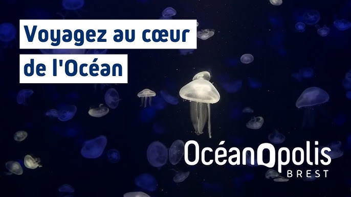 Photo pour conférences