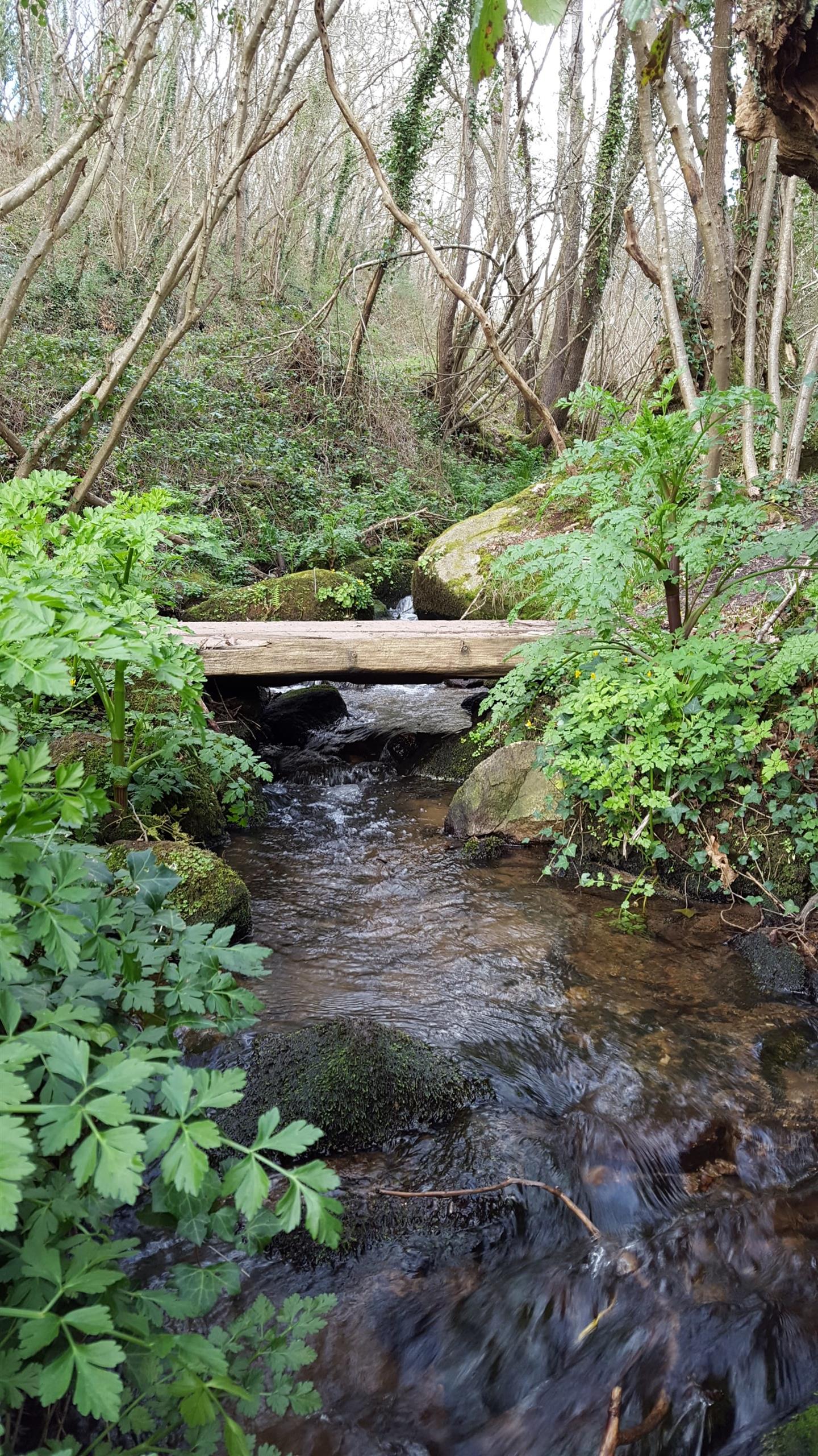 Lanarvily Aber Wrac'h Valley
