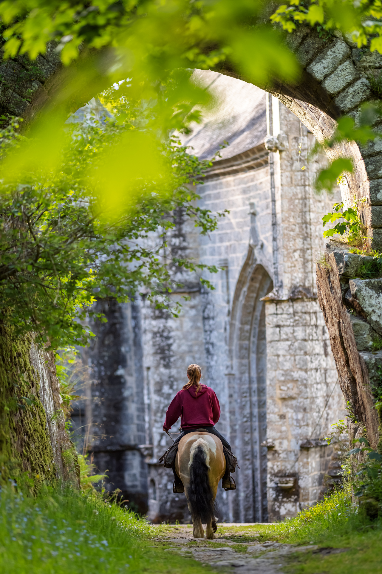 Ste barbe equestre Ste barbe equestre