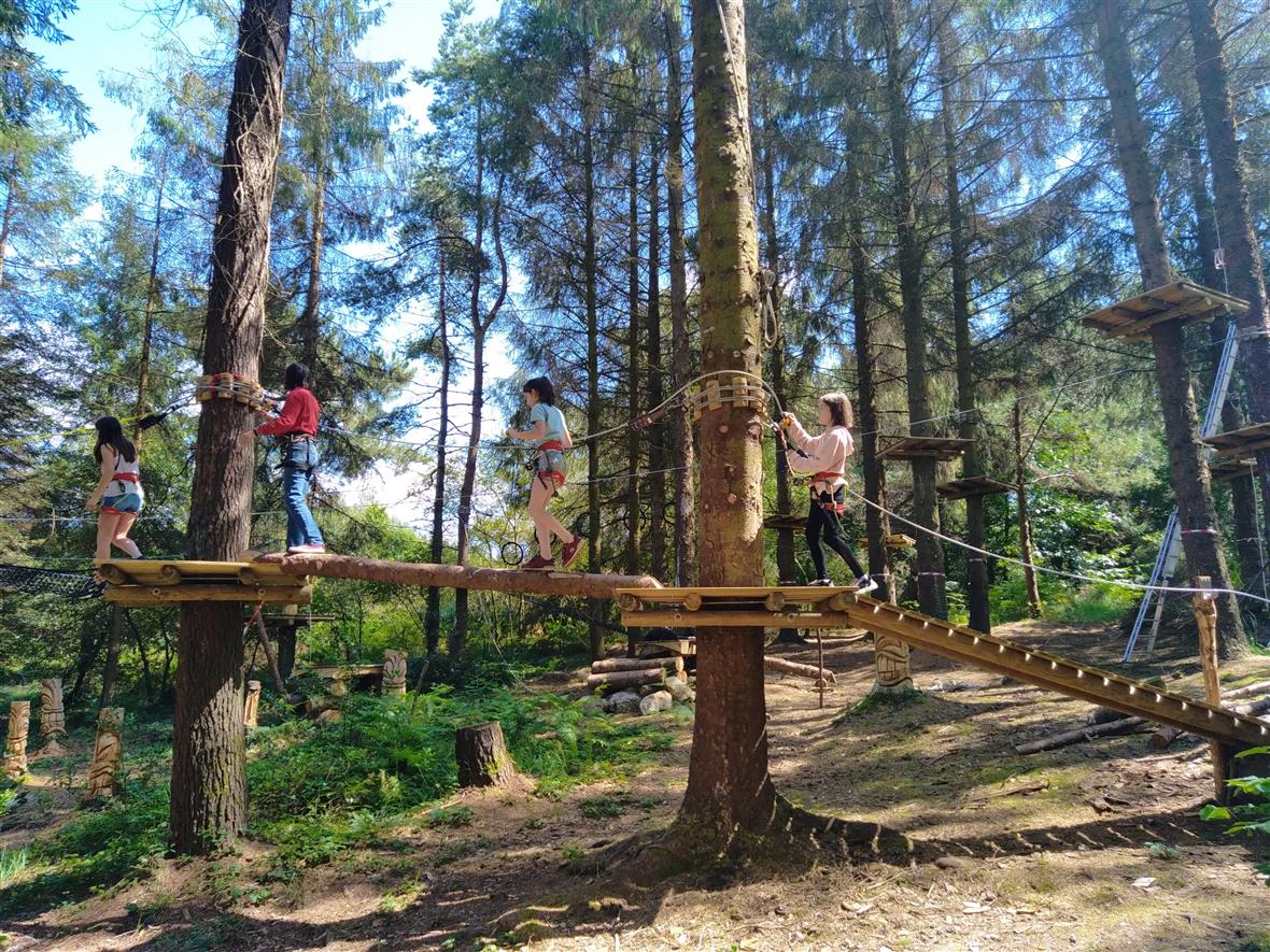 Tik Ys Parc