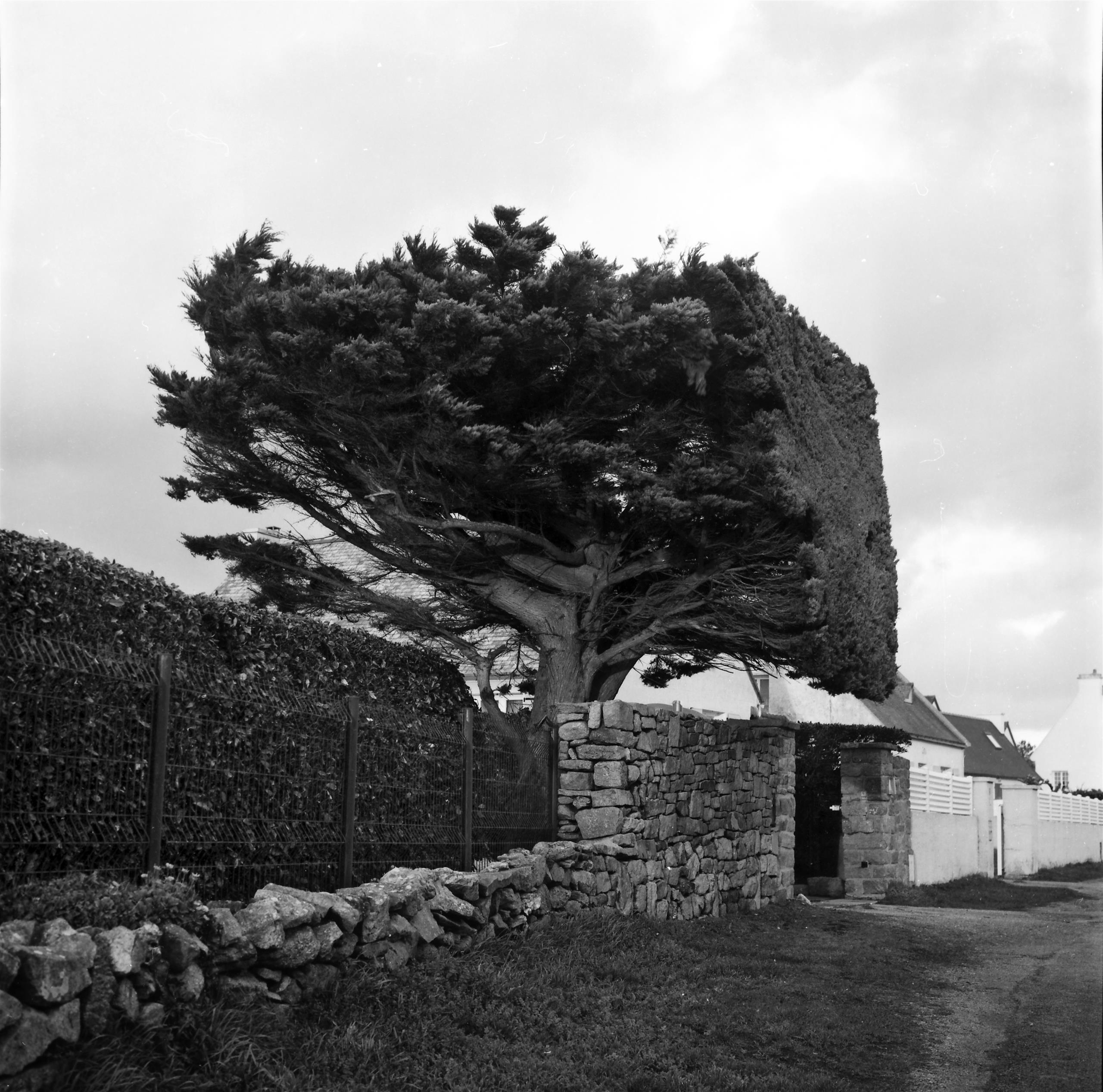 Venir-voir-venir_Photo-JP-Le-Bars