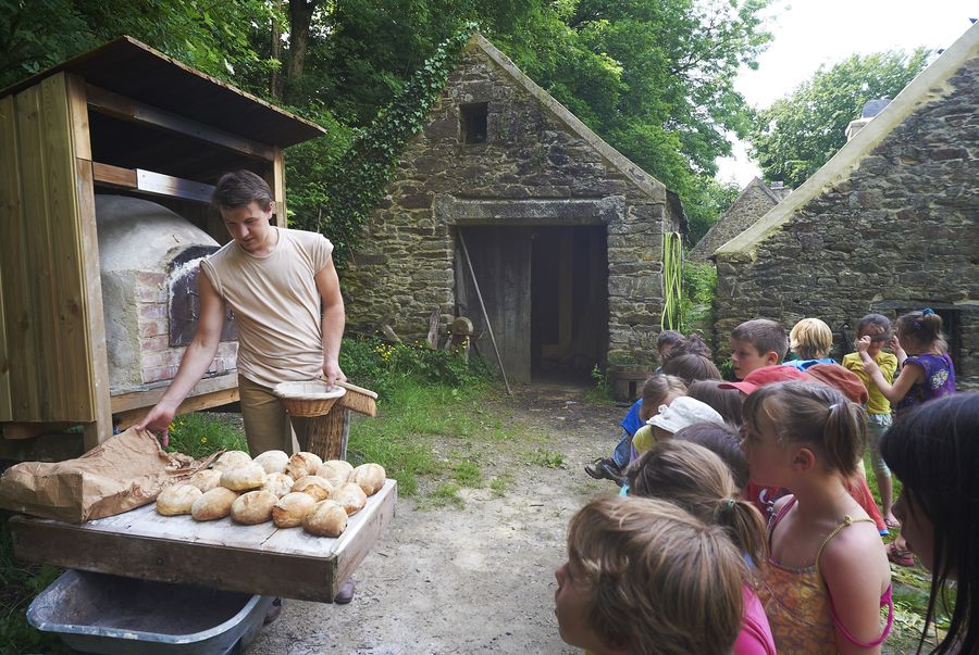 Die Herstellung von Brot