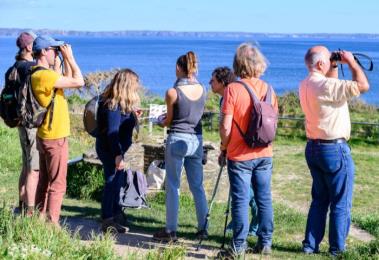 Explication des oiseaux
