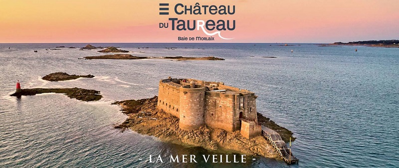 Visuel-Taureau-800--Alexandre-Lamoureux-6