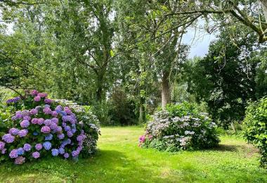 Relais de Pors Morvan-WhatsApp Image 2024-07-21 à 22.47.07_e3d9c748-redi
