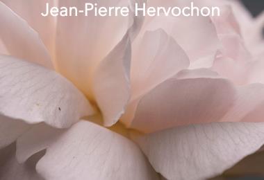 Les Ateliers Lafayette Jean Pierre Hervochon