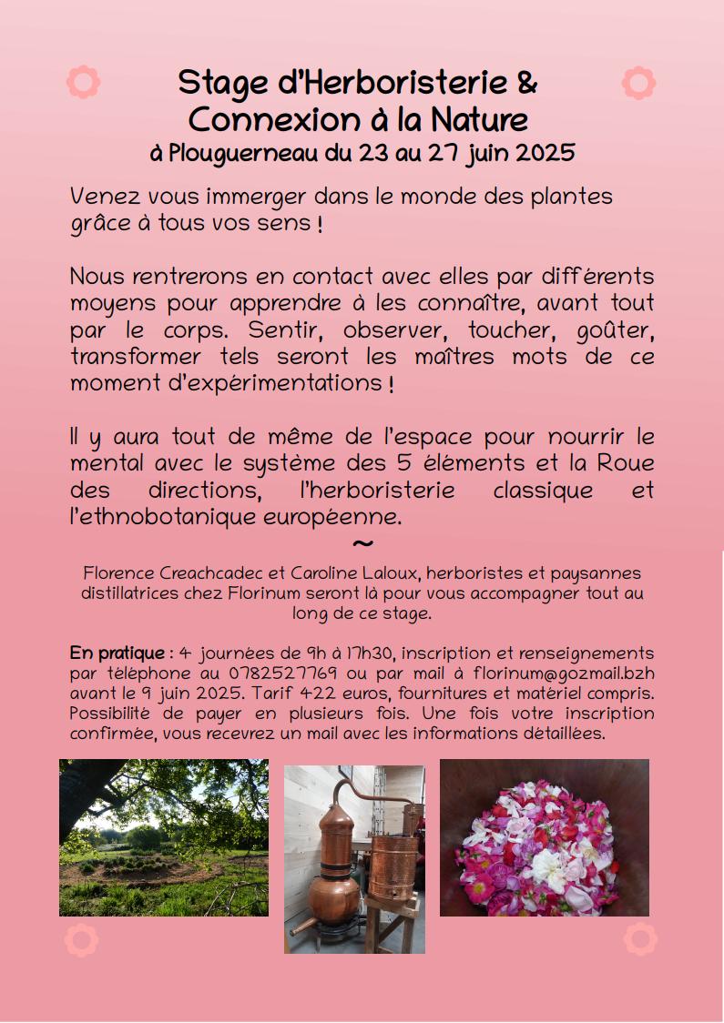 Stage d'herboristerie et Connexion à la Nature