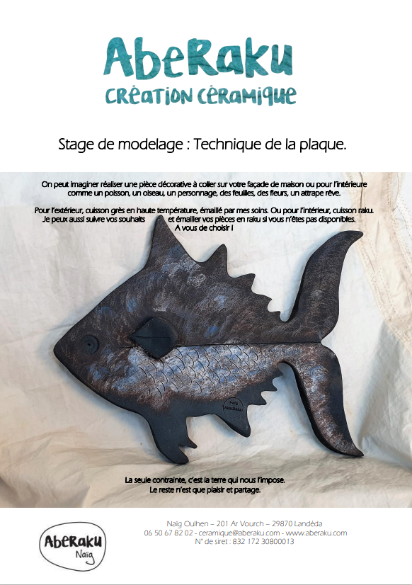 AbeRaku Stage Technique de la plaque
