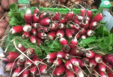 Proxi Molène alimentation_generale_proxi_ile_molene_13