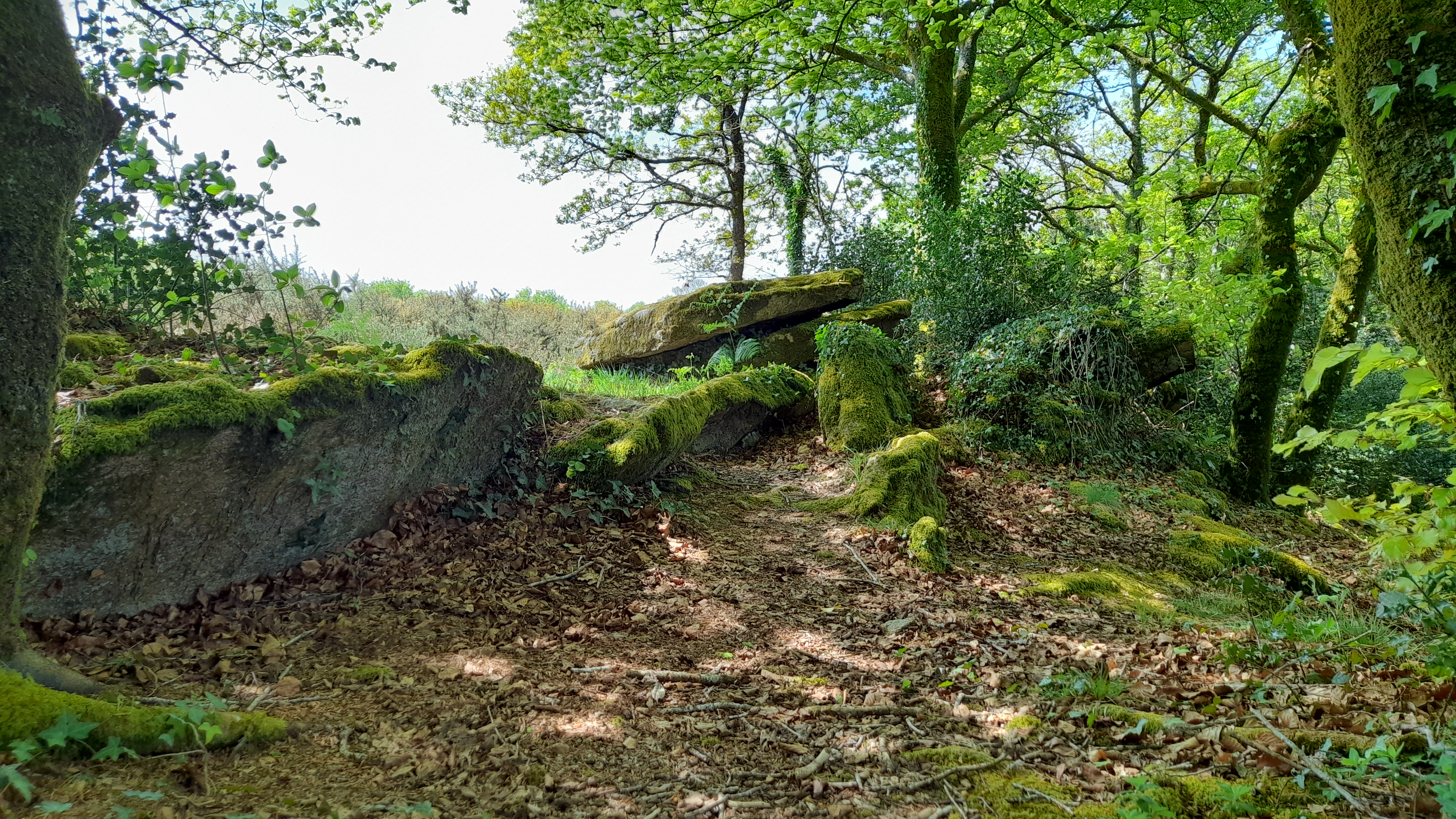 allée couverte Keroual d'en haut © RMCom (28)