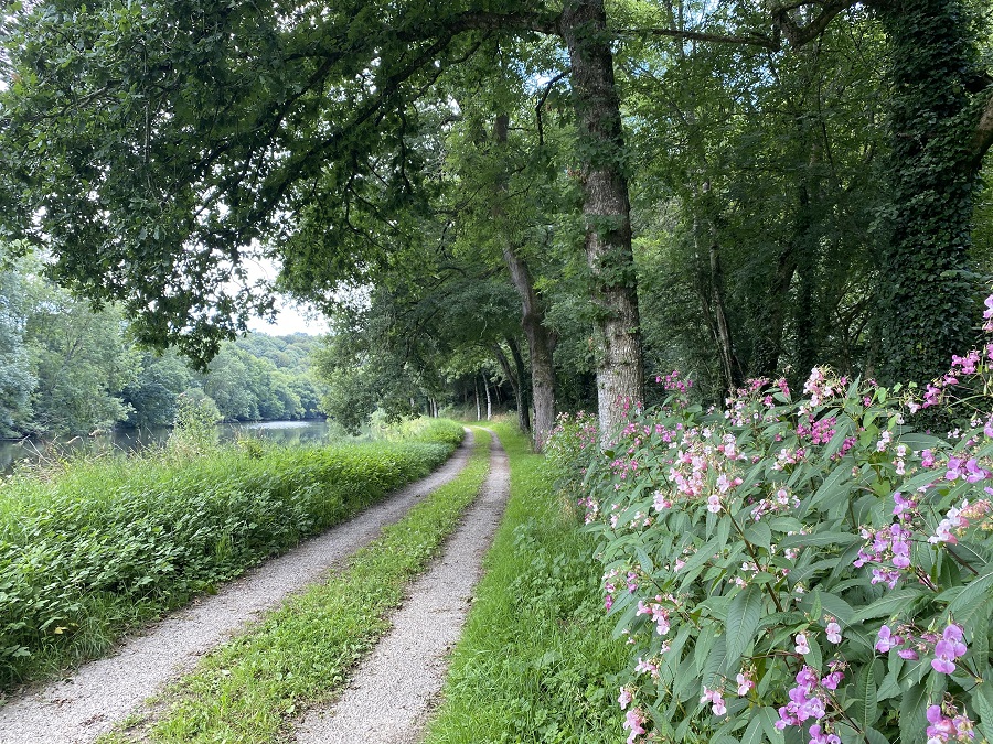 balade_pont-coblant_pleyben_menez_hom_atlantique_fleurs