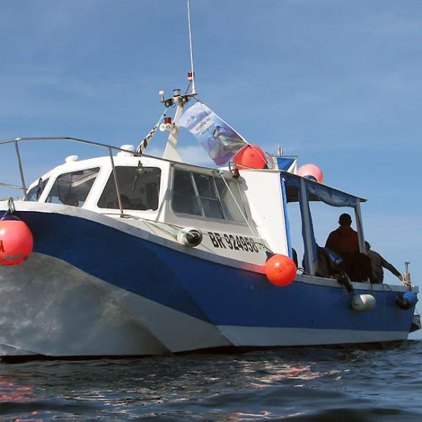 Club subaquatique du Conquet Plongée en mer d'Iroise
