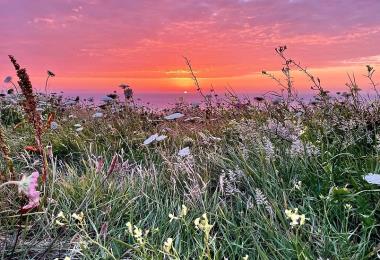 biodiversité à Corsen