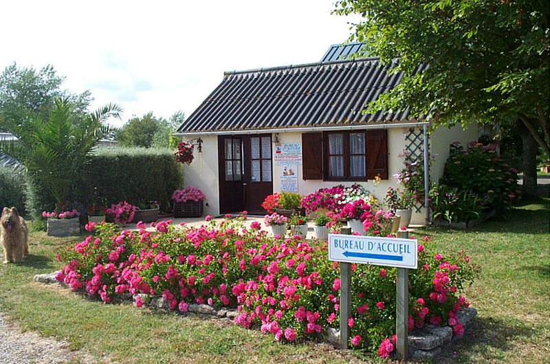 auensteckdose camping CEE Auensteckdose
