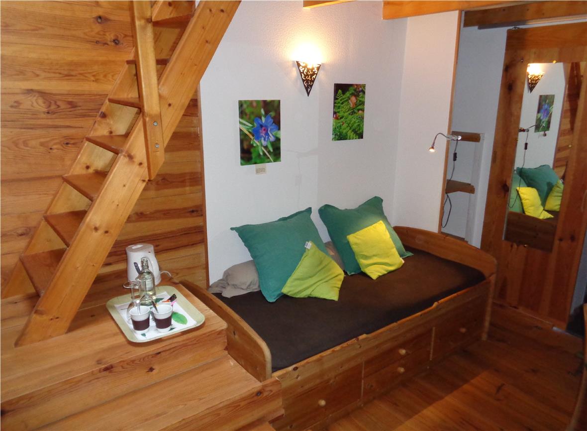chambre-spiruline-rez-de-chaussee---Copie