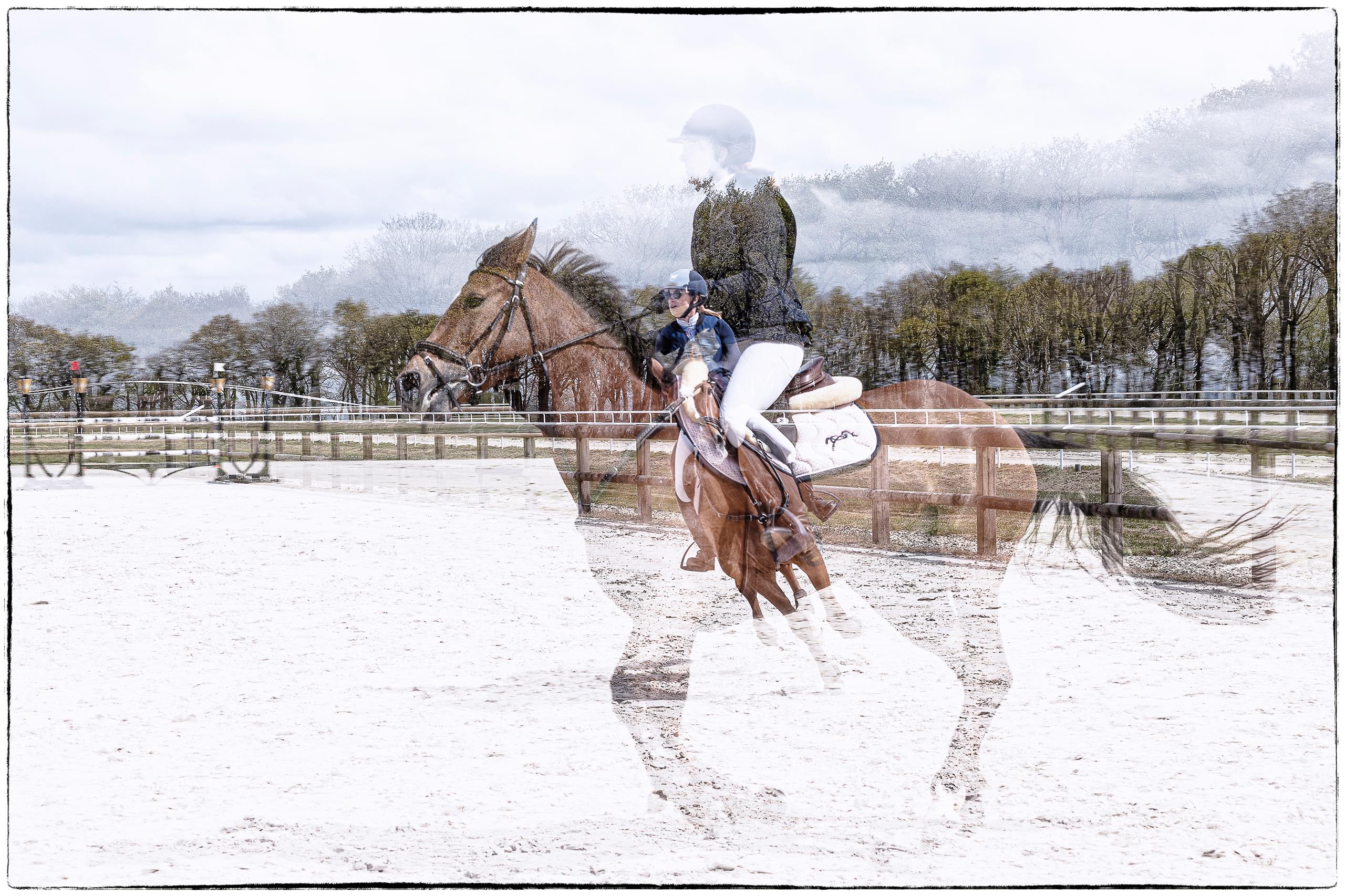 cheval journaliste le monde bouge