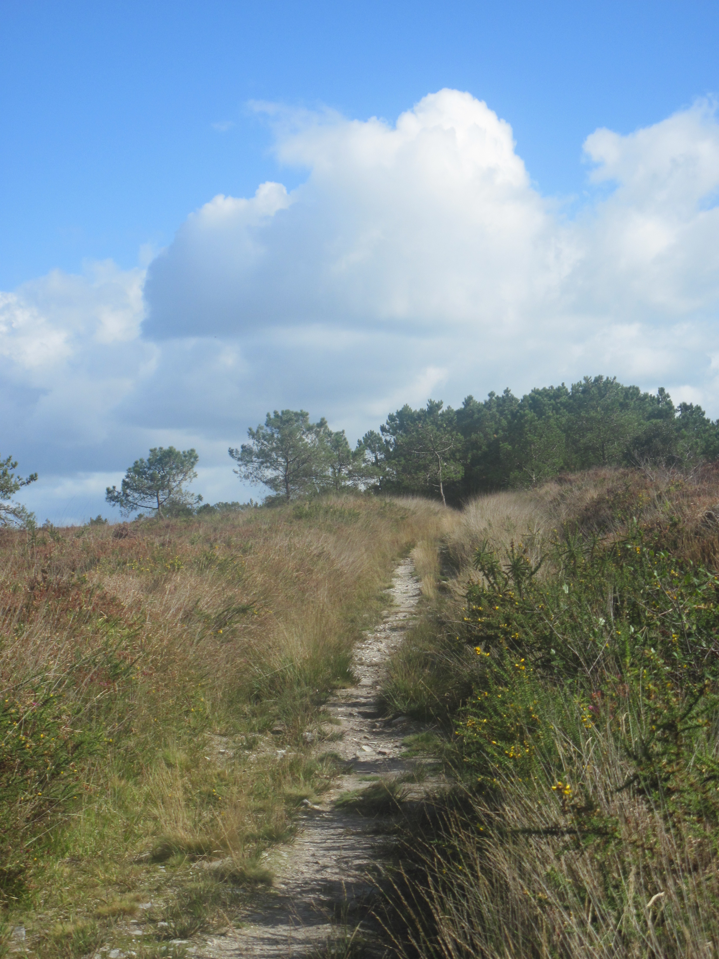 circuit cretes et carrieres - Gourin - 2016 - CP RMCom (3)