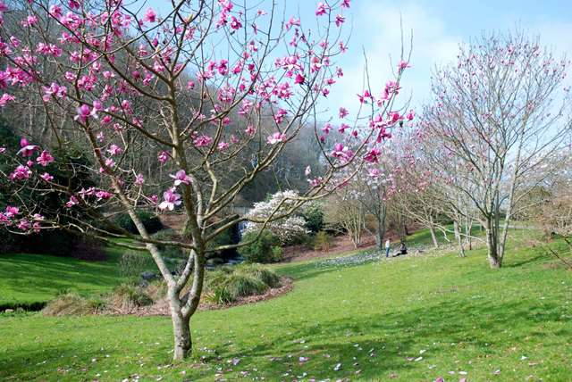 conservatoire botanique