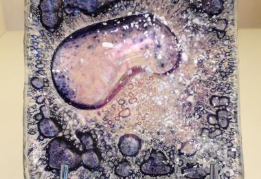 Valérie Salaün Maître verrier Finistère Verre Opaline Lanildut atelier de vitraux
