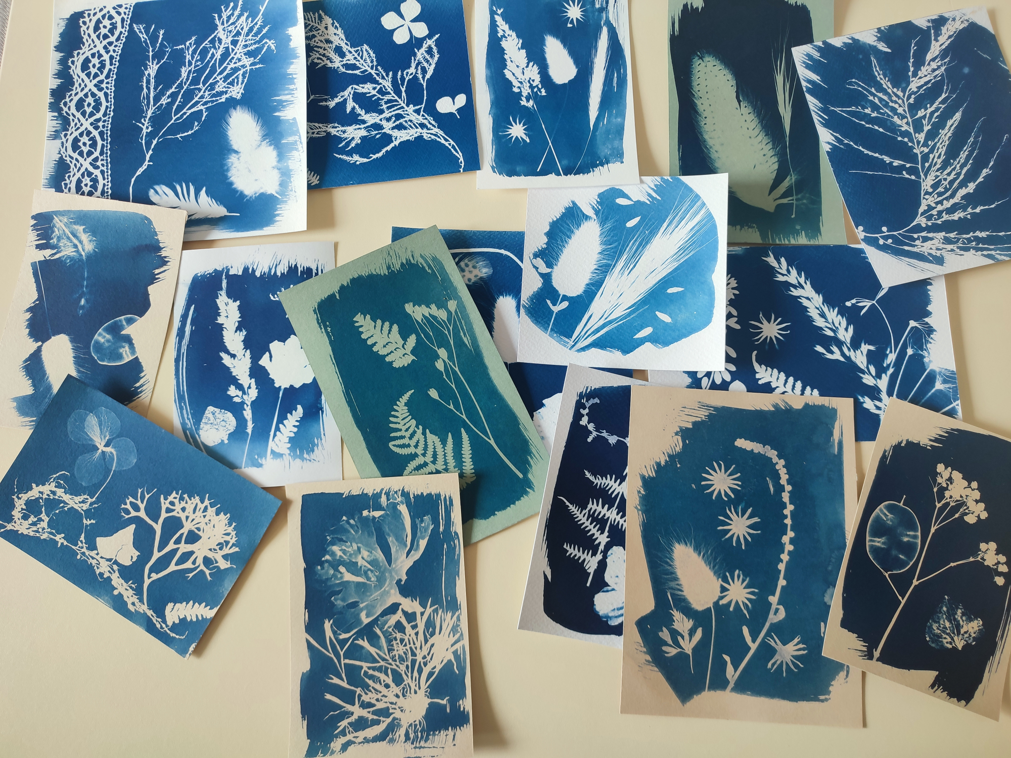 Création de cyanotype