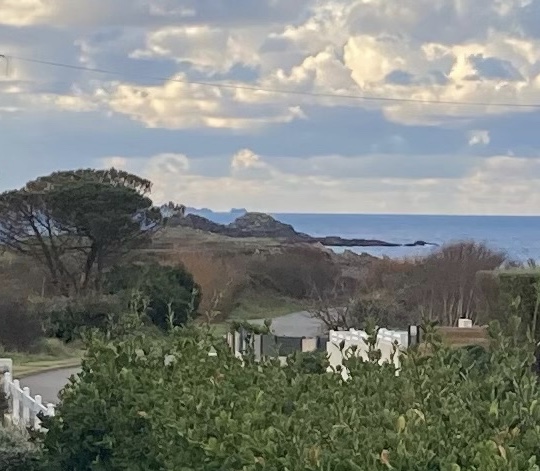 Vue de la terrasse