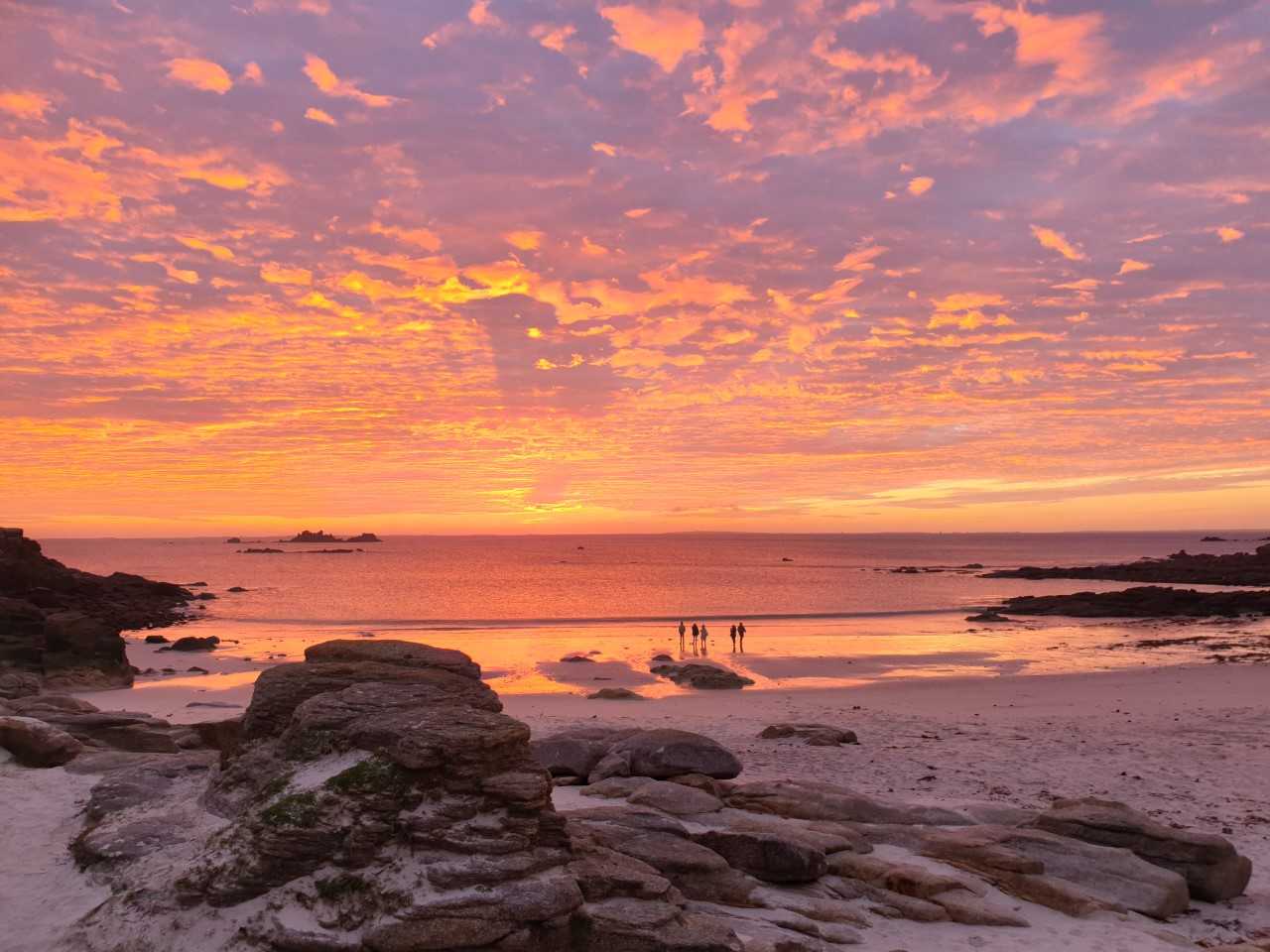 ile ségal2