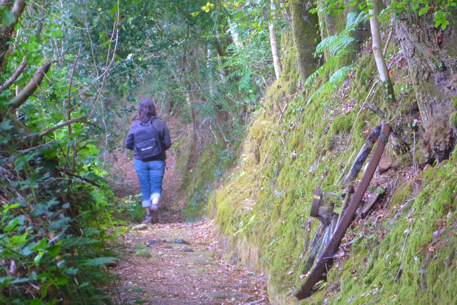 Chemin creux Chemin creux