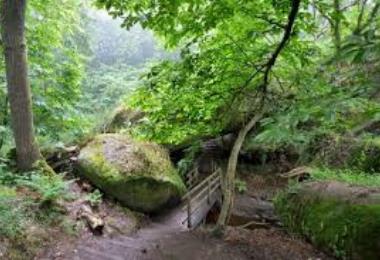 Bois de Keroual