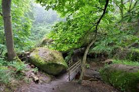 Bois de Keroual