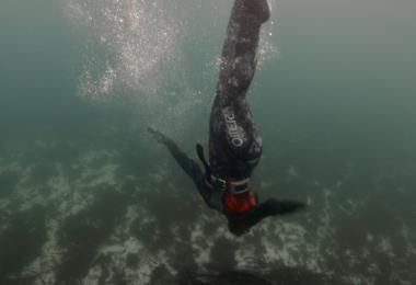 Into the blue freediving into the blue2