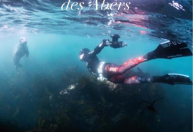 Into the blue freediving into the blue4
