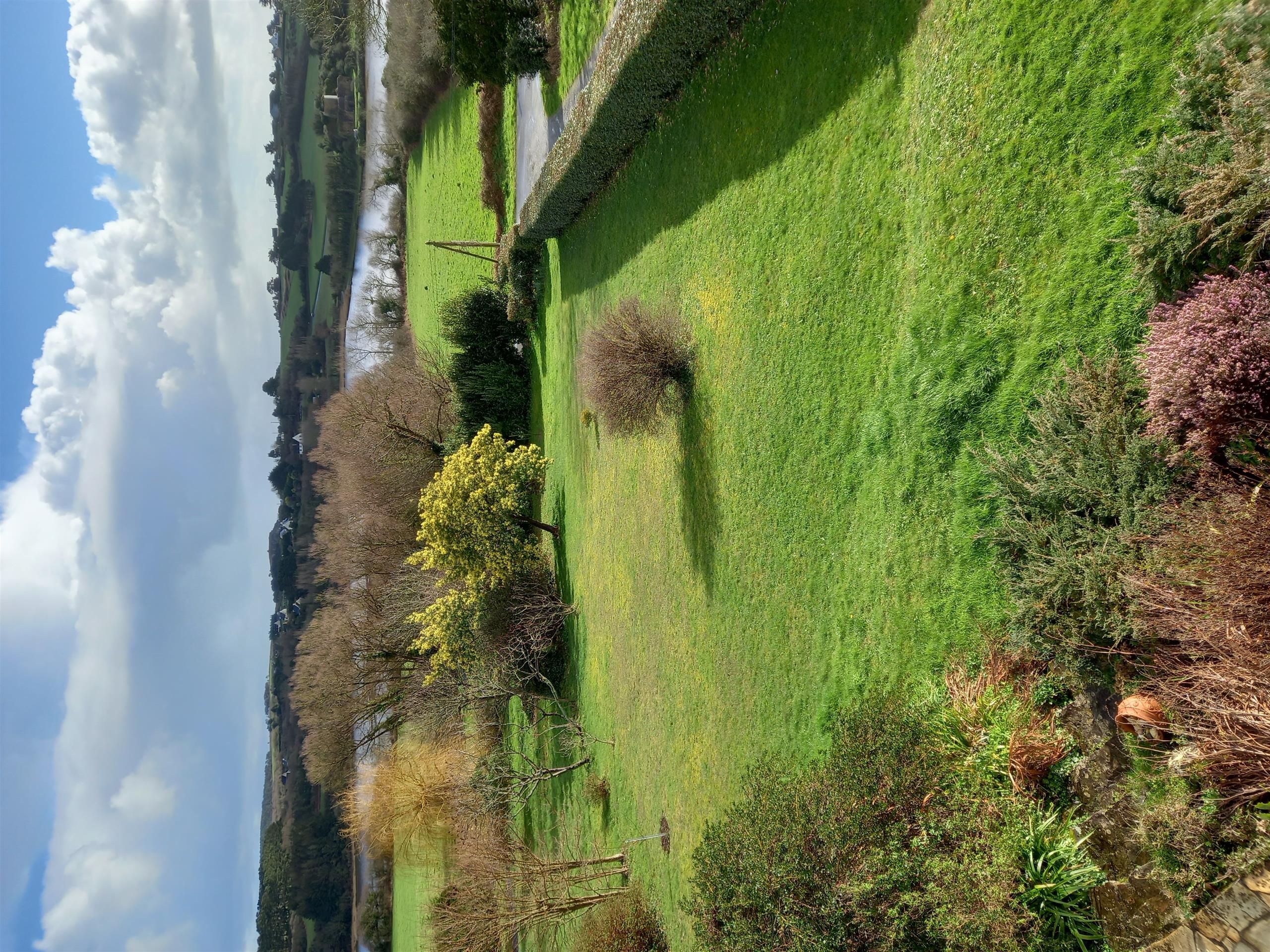 jardin