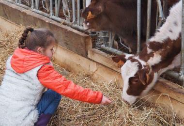 Keroudy Ferme de Keroudy Milizac Guipronvel