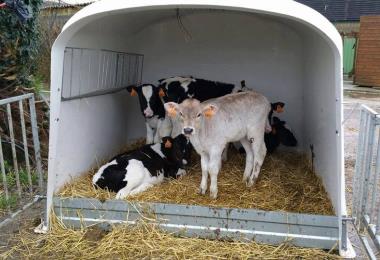Keroudy Ferme de Keroudy Milizac Guipronvel
