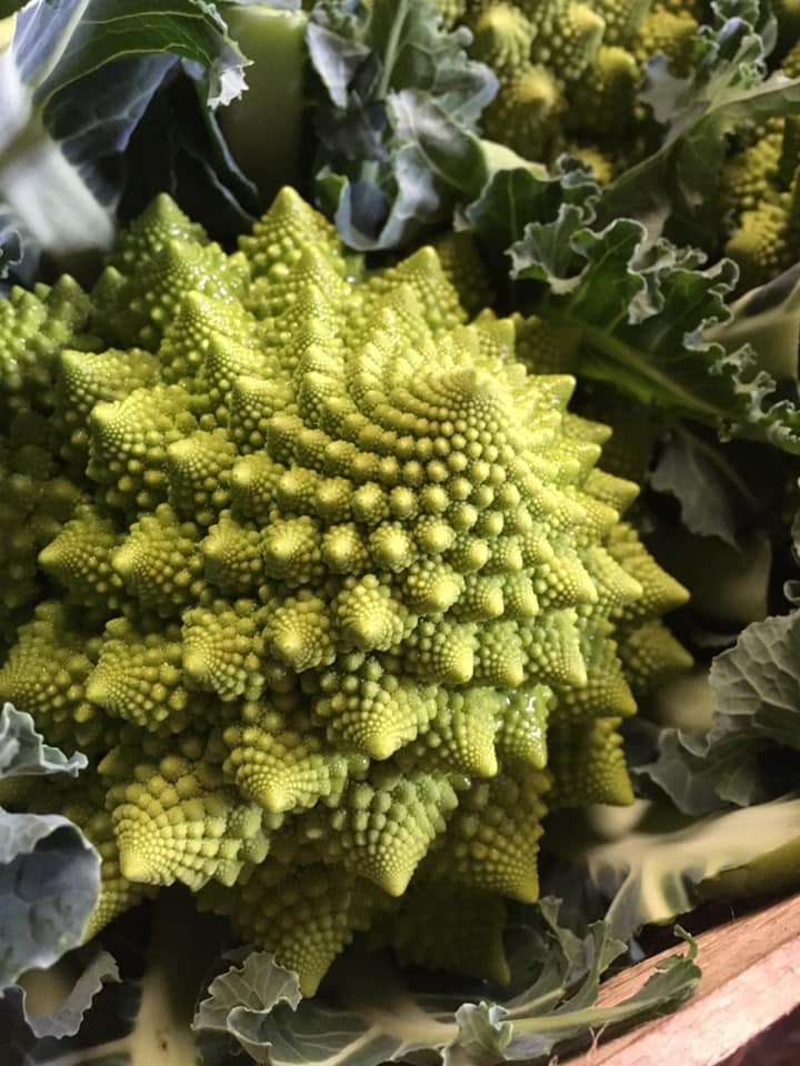 la ferme de penzer romanesco