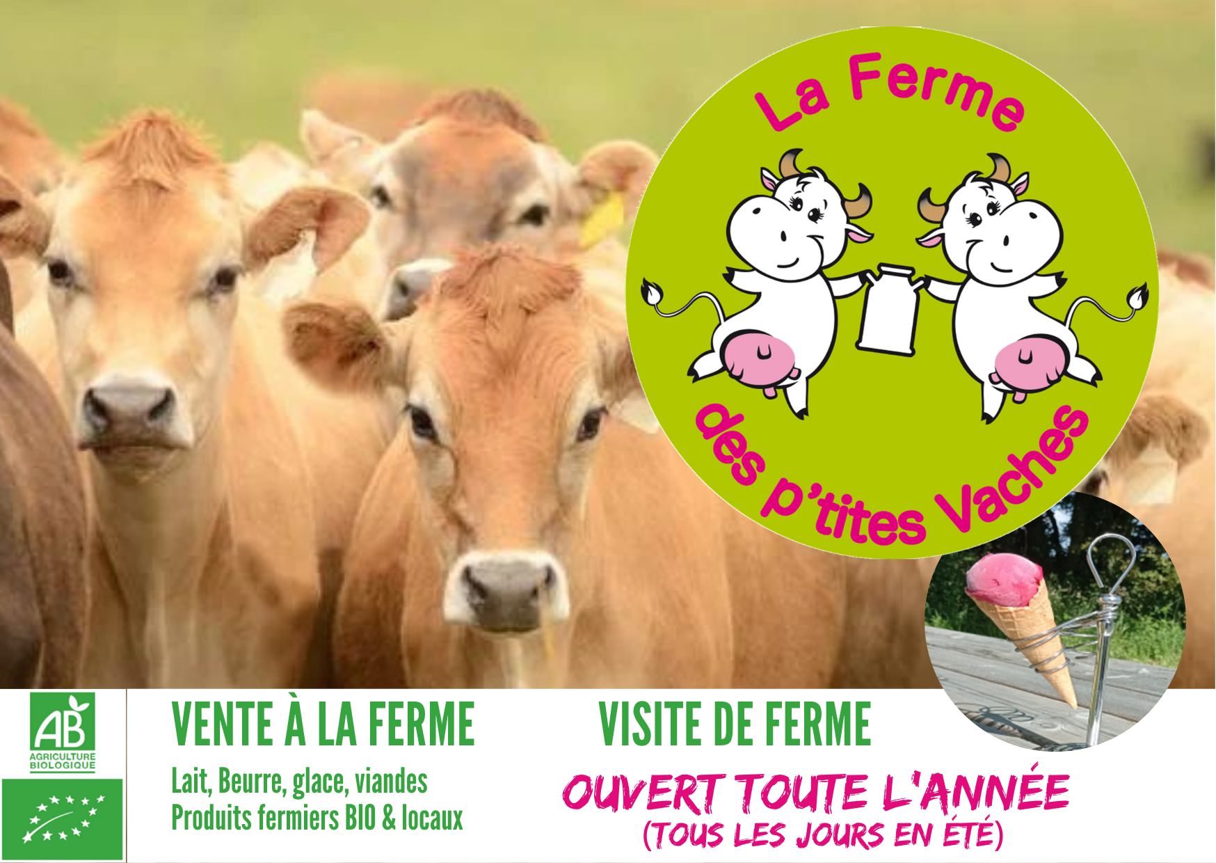 Vente à la ferme , glace, viandes SNACK A LA FERME