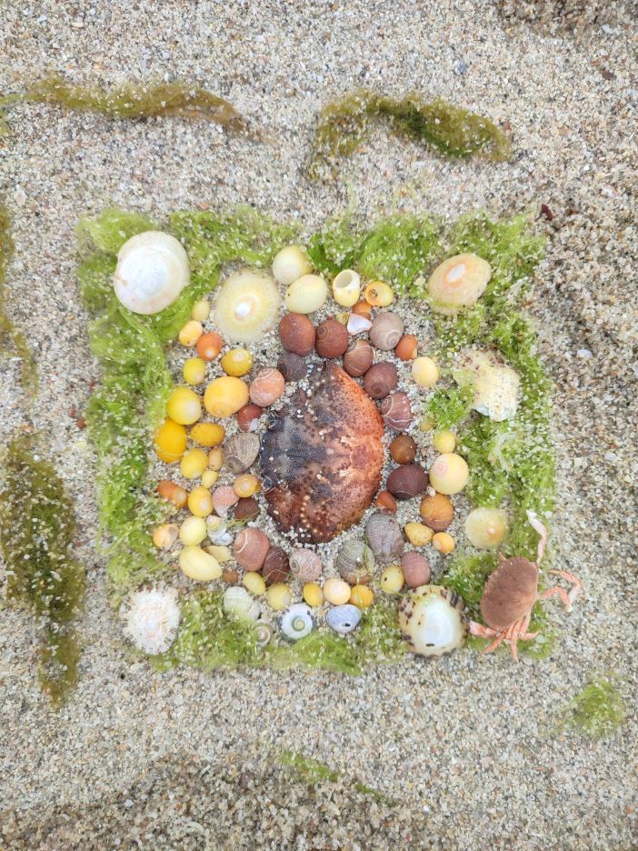 Trésors de la plage