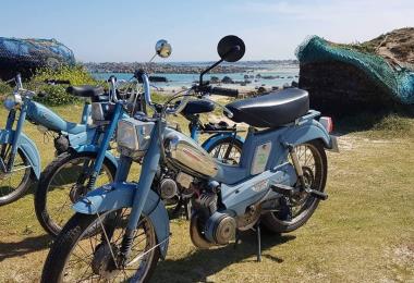 La Mob des Légendes les motobecs