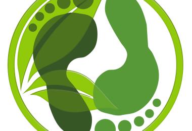 Logo feuilles