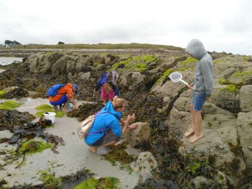 Pêche à pied découverte