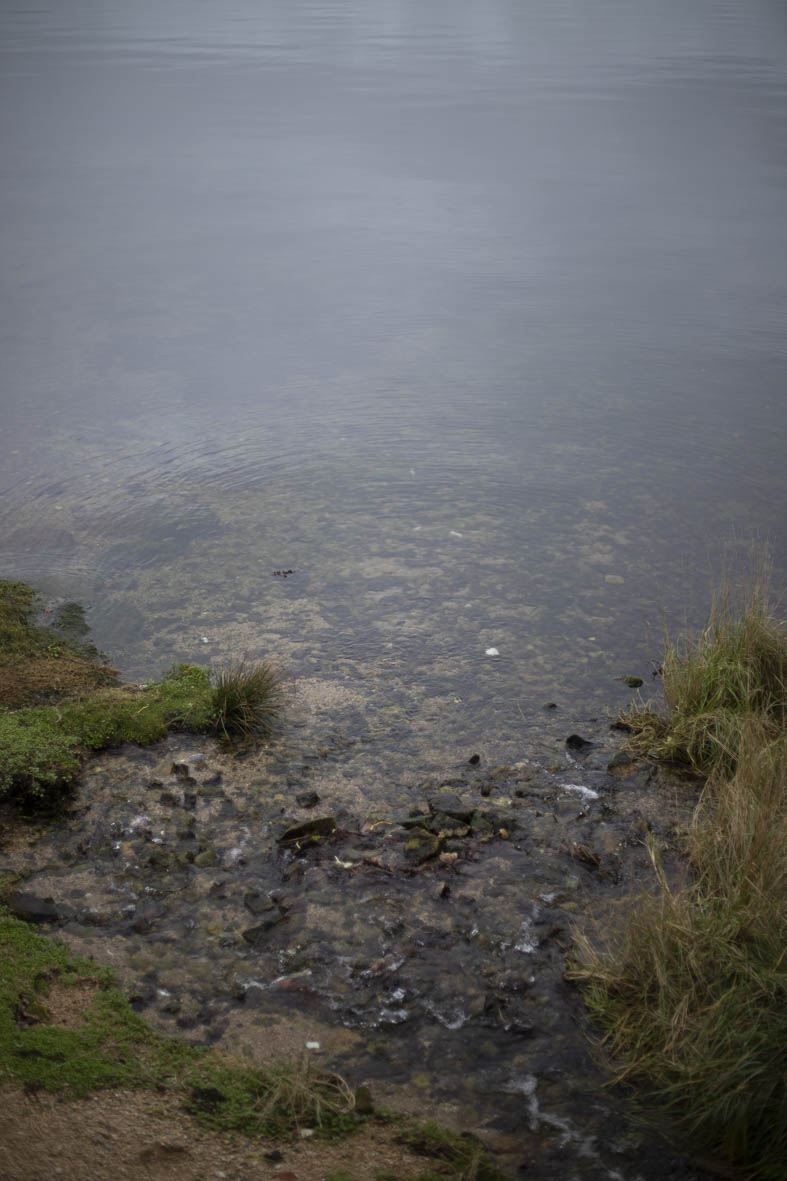 Activité lors de la marche de l'eau (22 au 25 mai), marcher de la mer à la source de l'Aber Wrac'h