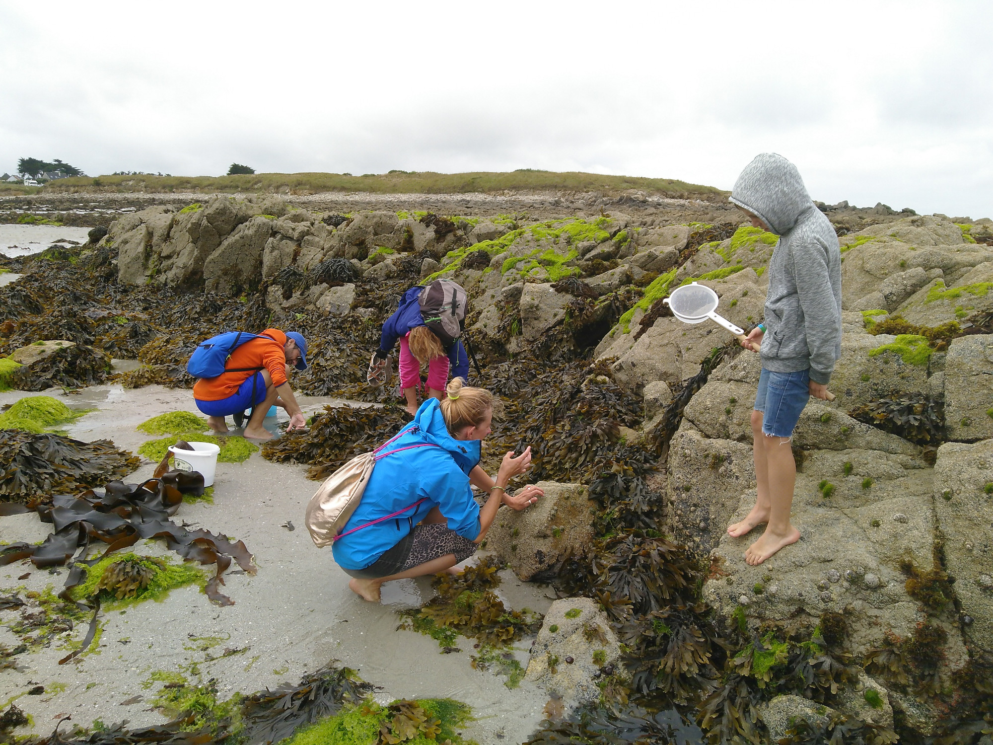 Pêche à pied découverte