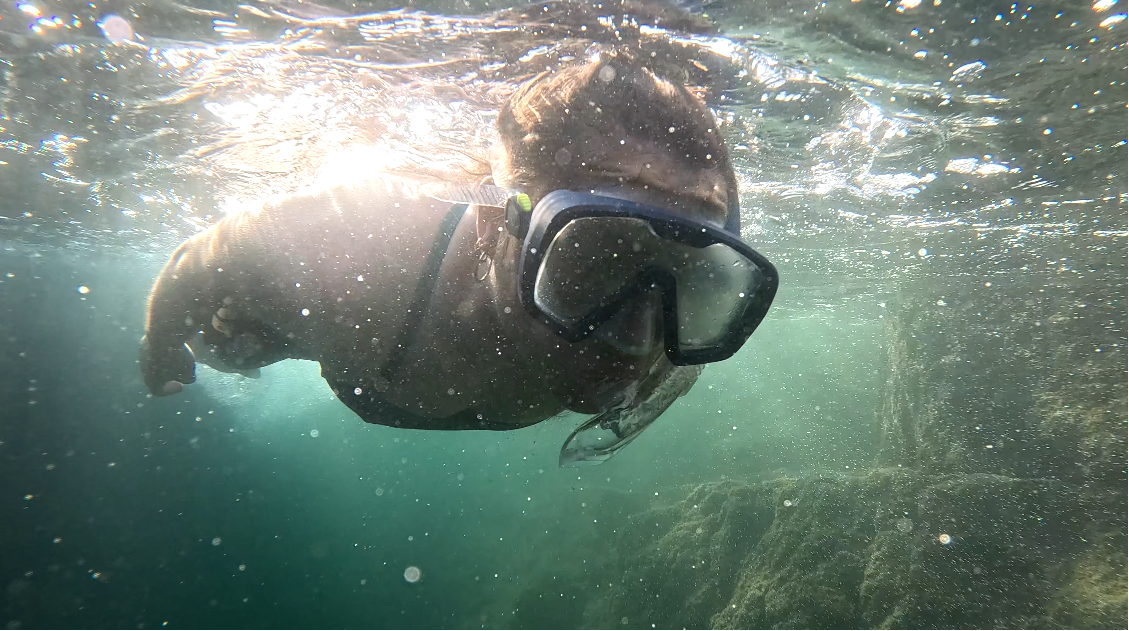 photo snork