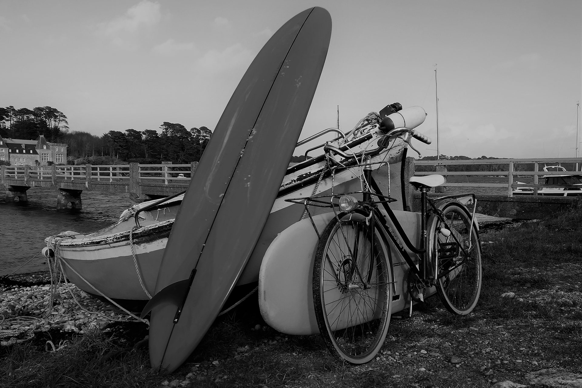 photo-wild-ride-web-opt