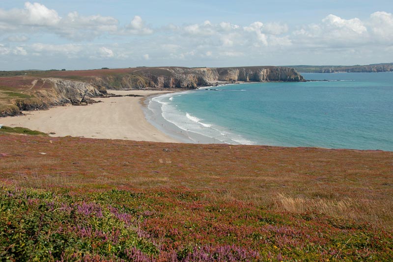 plage-APAS