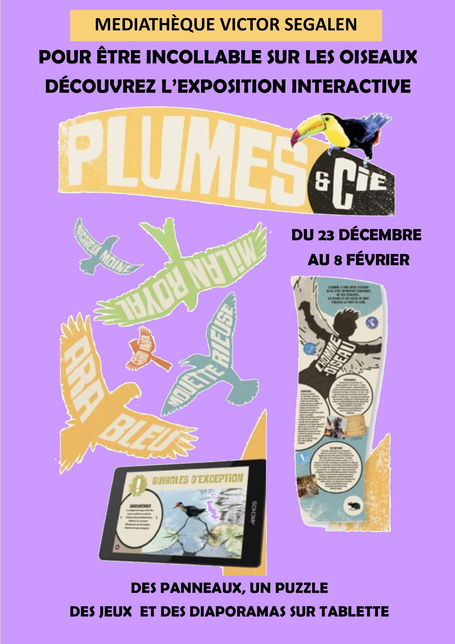 Exposition interactive Plumes & Cie