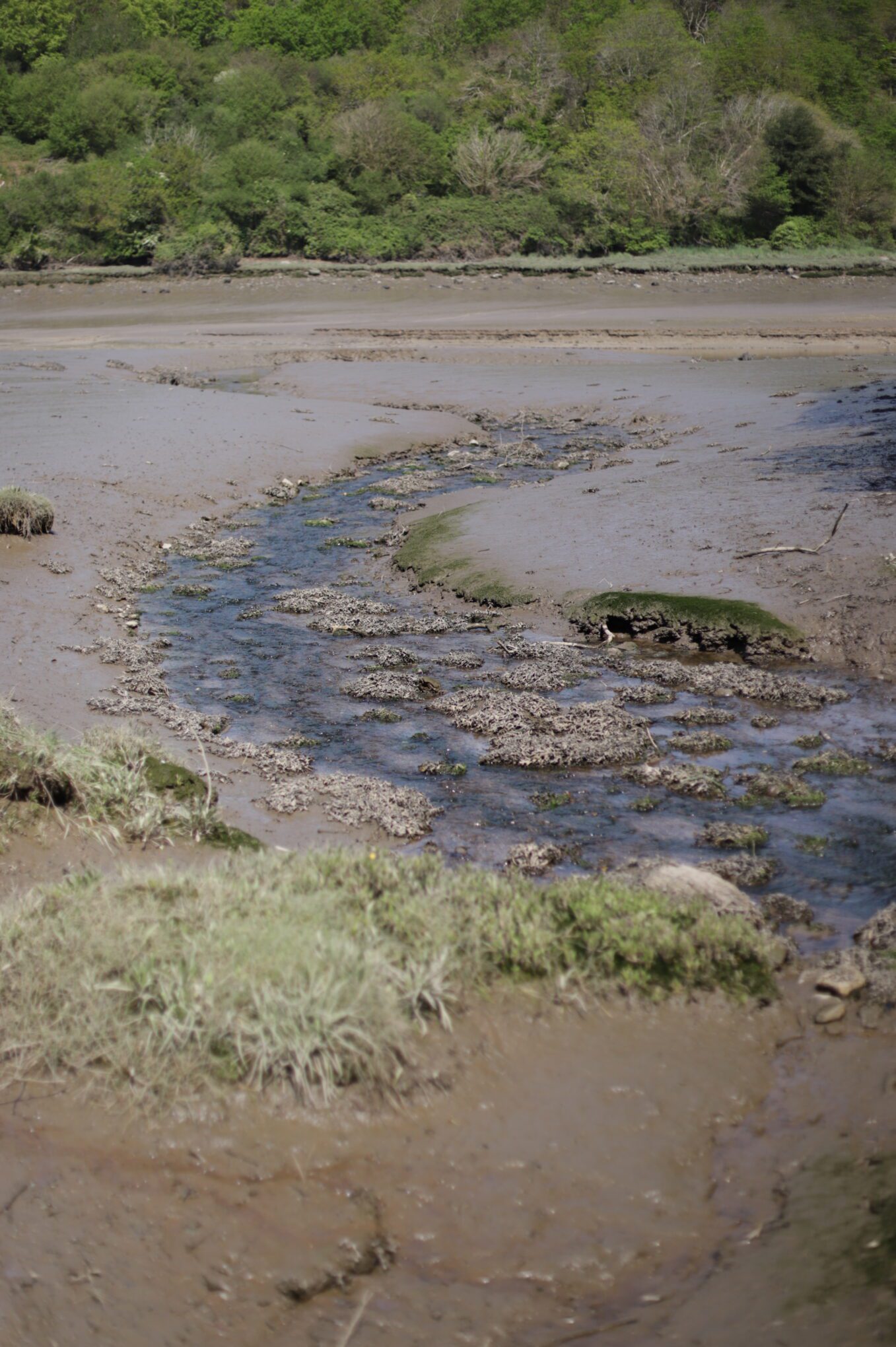 Activité lors de la marche de l'eau, marcher de la mer à la source de l'Aber Wrac'h