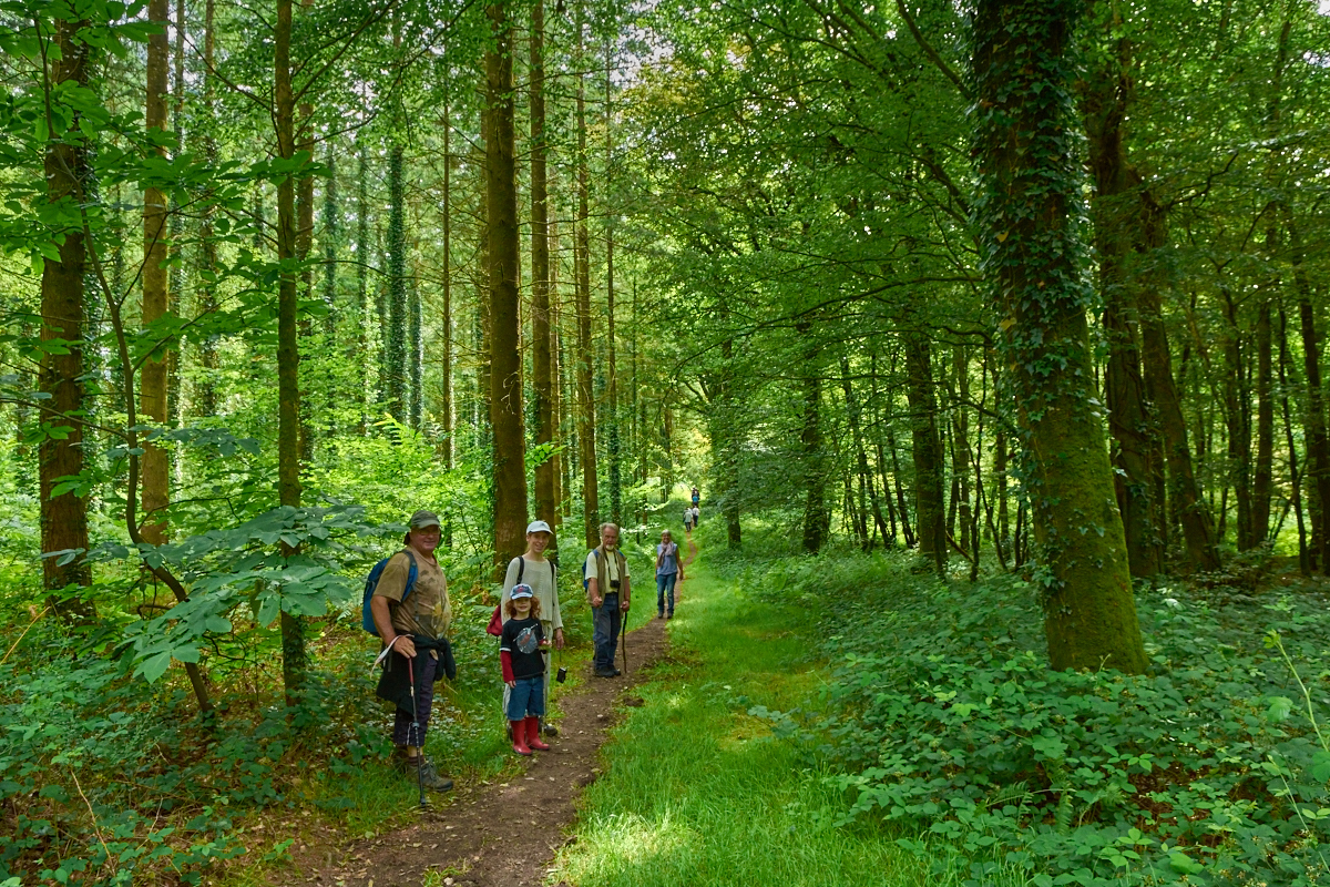 randonnée accompagnée - Pont-calleck - Berné - BD - @M-A Gouret-Puillandre (14)