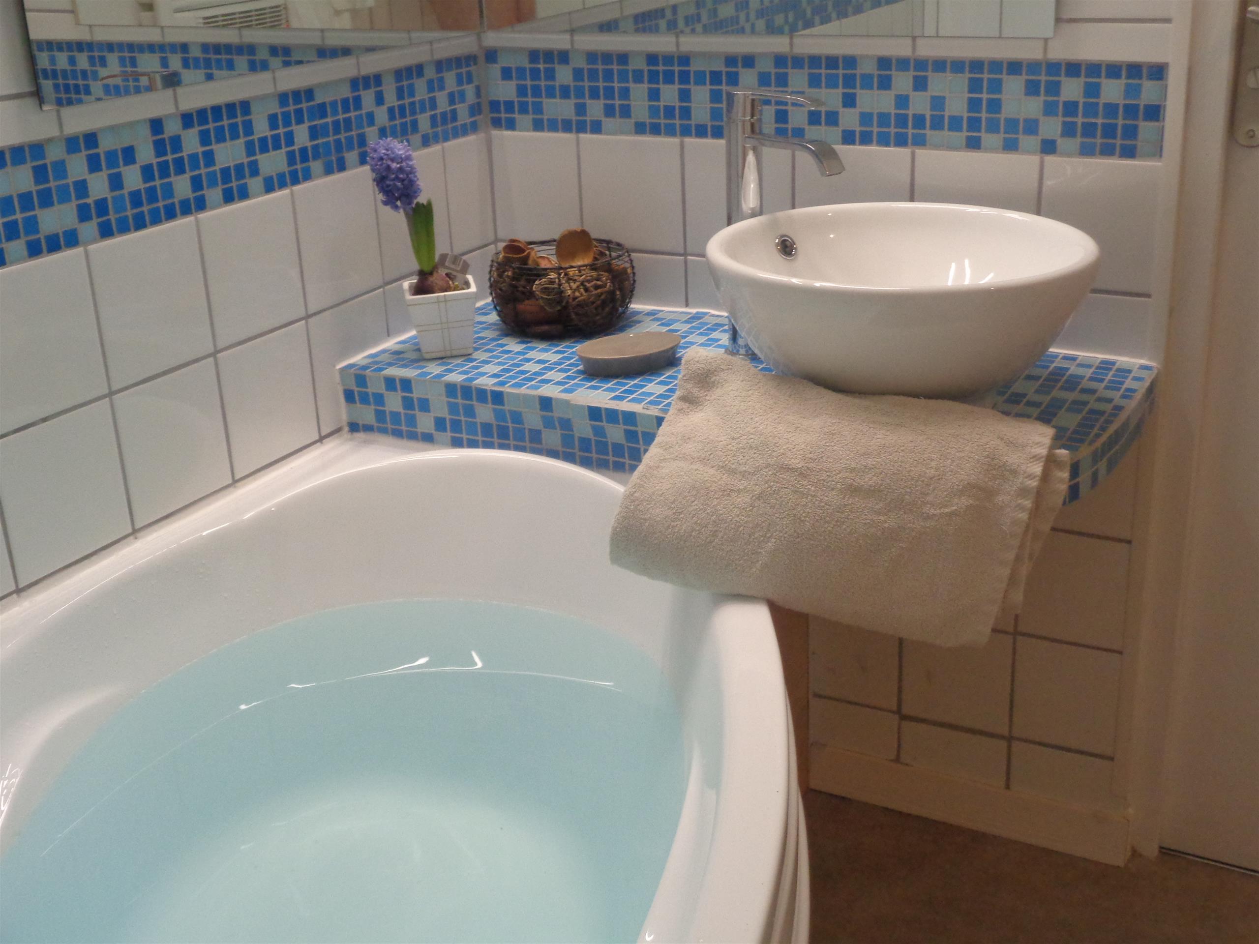 les chambres d'hotes dekerael :chambre myosotis,baignoire et vasque
